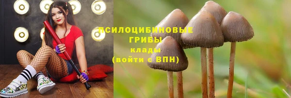 MESCALINE Алексеевка