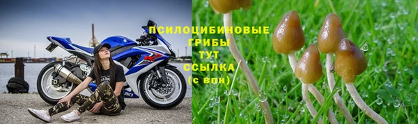 синтетический гашиш Алексин