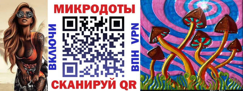 продажа наркотиков  Шебекино  Галлюциногенные грибы Psilocybe 
